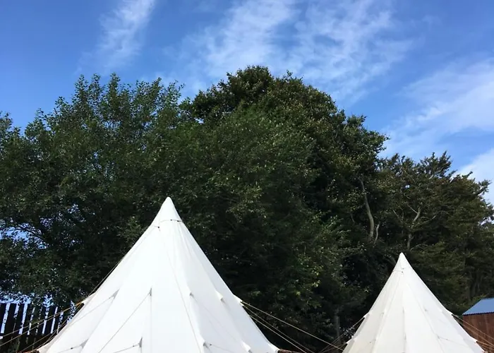 Camping Pinewood Park - Tipis, Hot Tubs And