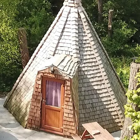 Pinewood Park - Tipis, Hot Tubs And مكان تخييم