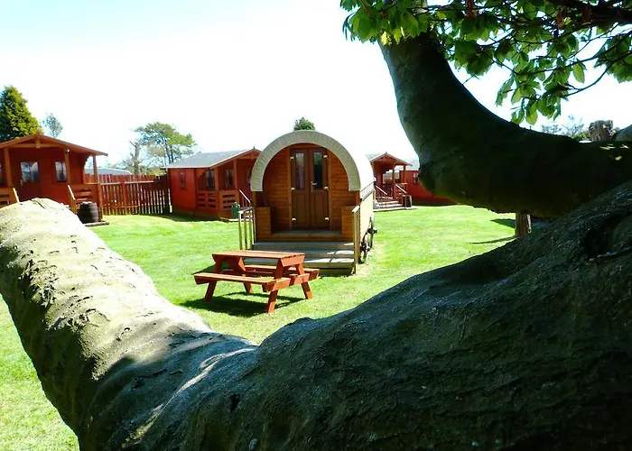 Kemping Pinewood Park - Tipis, Hot Tubs And Scarborough
